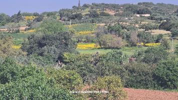 Terrain à vendre à Somâa – Lotissement 