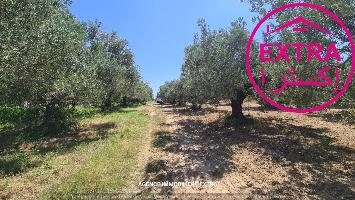 campagne a boushem