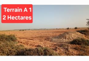 Location et vente terrains agricoles