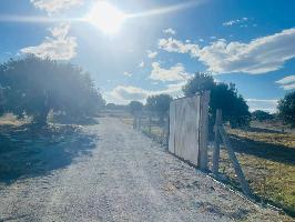 فررررصة أرض للبيع