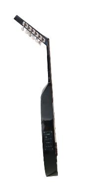 Oud Electro-Acoustique