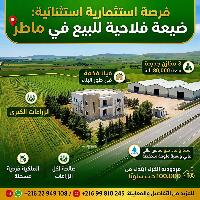 15 هكتار للبيع بماطر