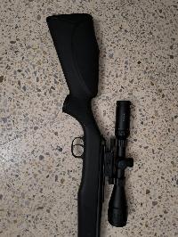 Carabine diana 350 magnum panther 